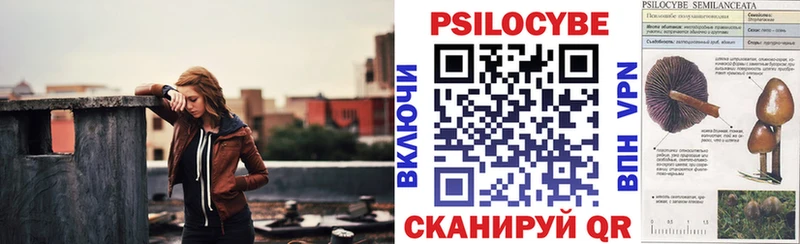 Псилоцибиновые грибы Psilocybine cubensis  блэк спрут как зайти  Снежинск  закладки 